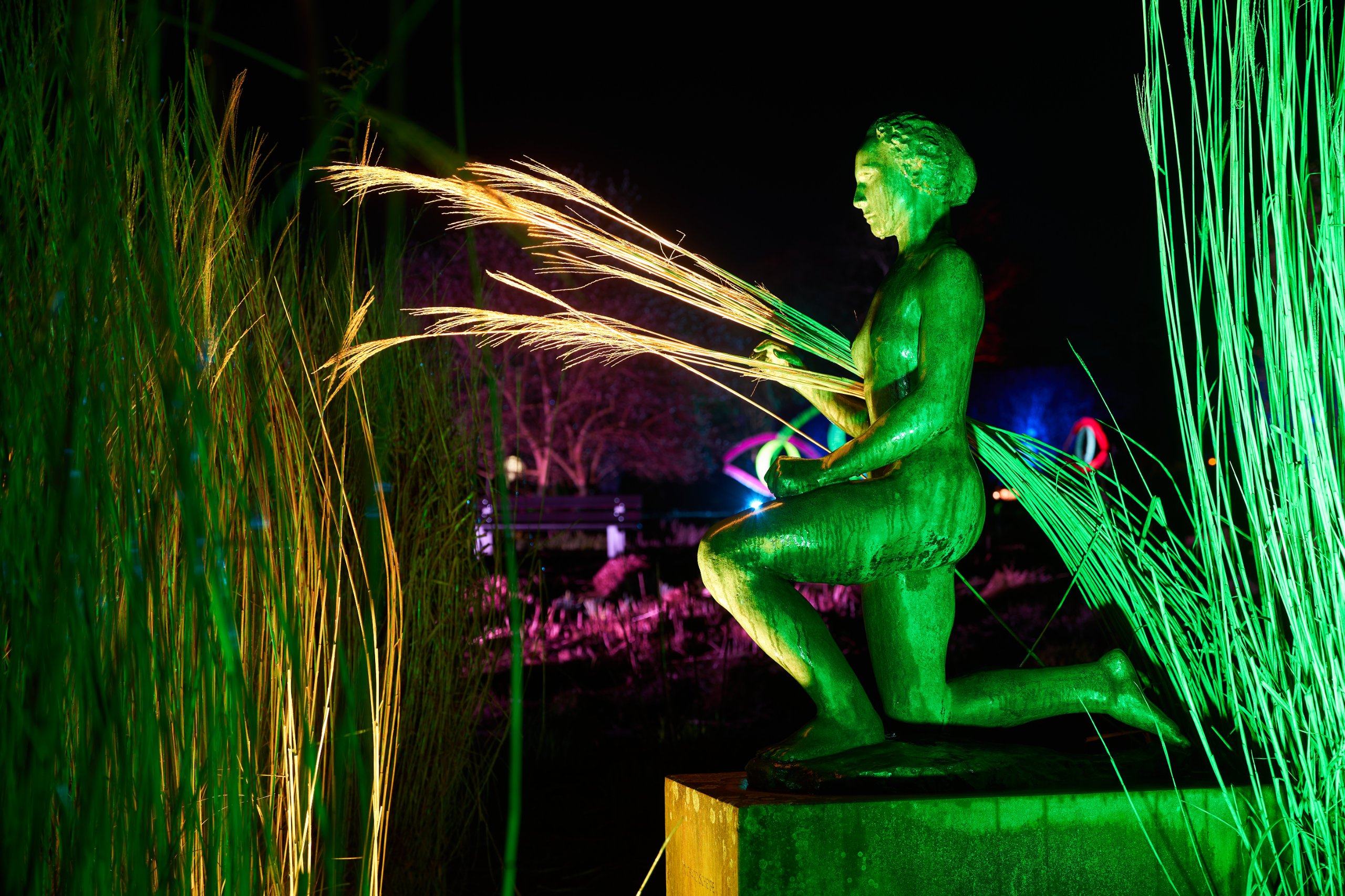 2024 02 23 Parkleuchten 0078